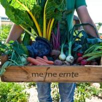 meine ernte Fotos 2025 (5)