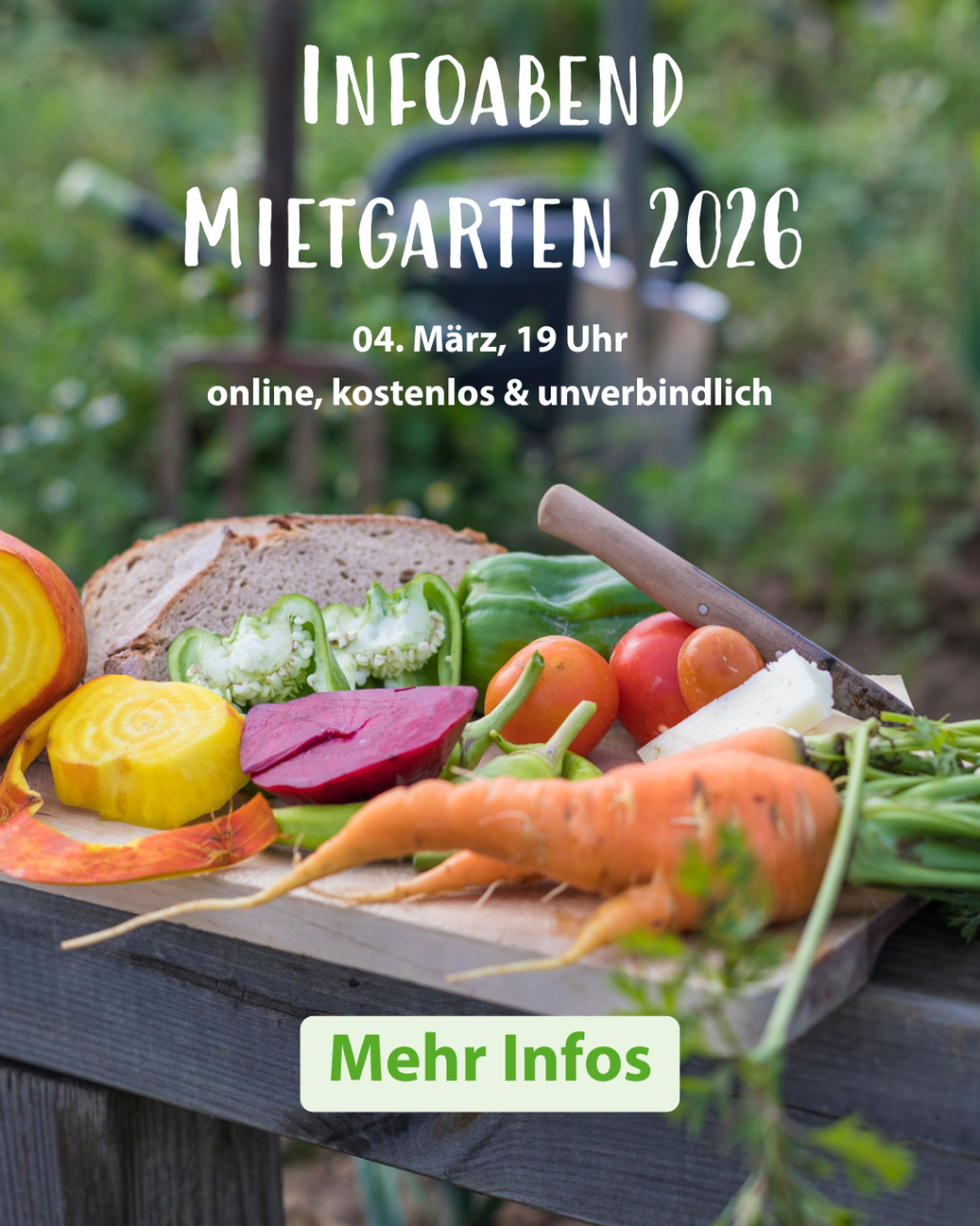 IV Social Media  Mobil Shop (1)